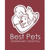 Best Pets Veterinary Hospital image 1